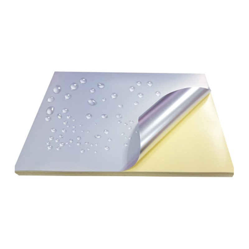 50um mattahopea lemmikkikalvo keltaisella silikonivuorauksella